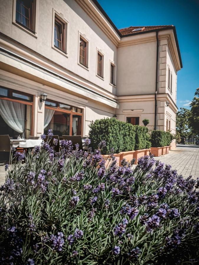 Restaurant Pansion Wien Cierny Brod Exterior foto